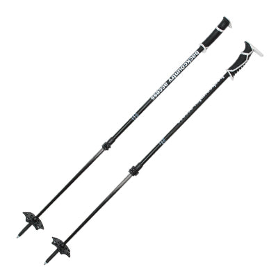 Backcountry Ski Poles